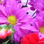 Athgarvan B&B *