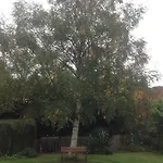 Athgarvan B&B * Athgarvan