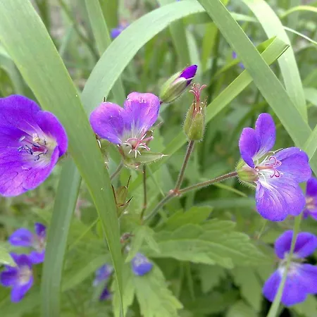 阿斯加湾住宿加早餐旅馆 住宿加早餐酒店 Athgarvan