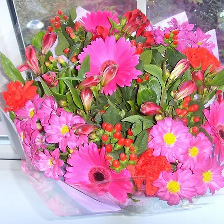 Athgarvan B&B Couette-café *