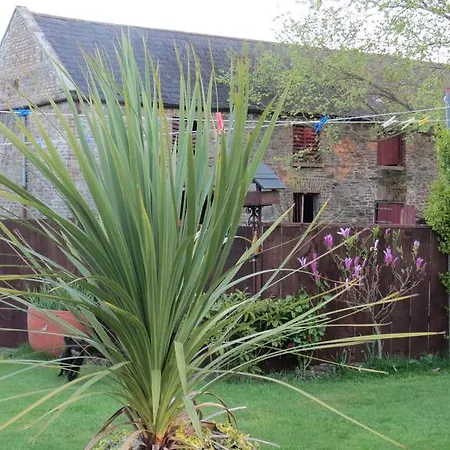 阿斯加湾住宿加早餐旅馆 住宿加早餐酒店 Athgarvan