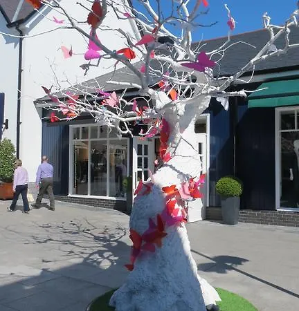 Couette-café Athgarvan B&B Athgarvan