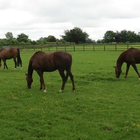 Athgarvan B&B Athgarvan