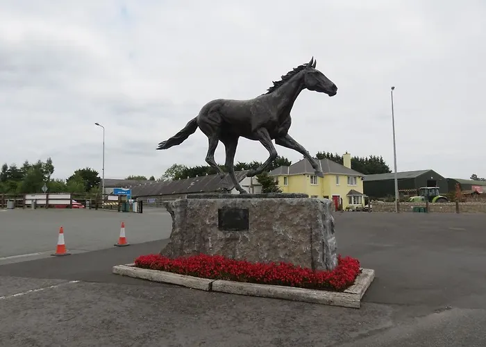 Bed & Breakfast Athgarvan B&B