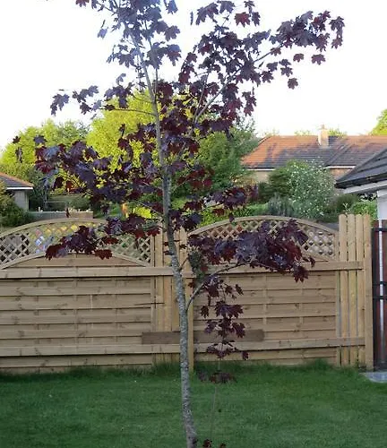 Bed & Breakfast Athgarvan B&B Athgarvan