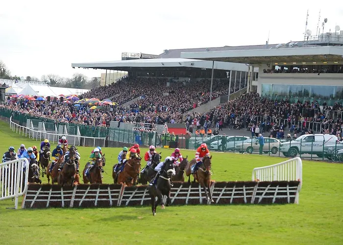 Athgarvan B&B Bed & Breakfast Athgarvan