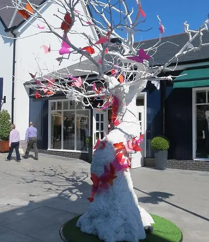 Bed & Breakfast Athgarvan B&B Athgarvan