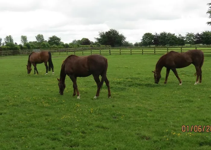 Athgarvan B&B Athgarvan